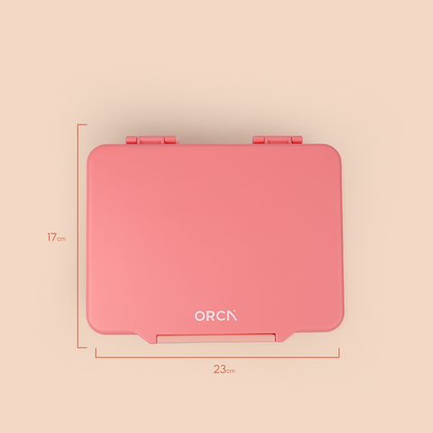 ORCA GridBox