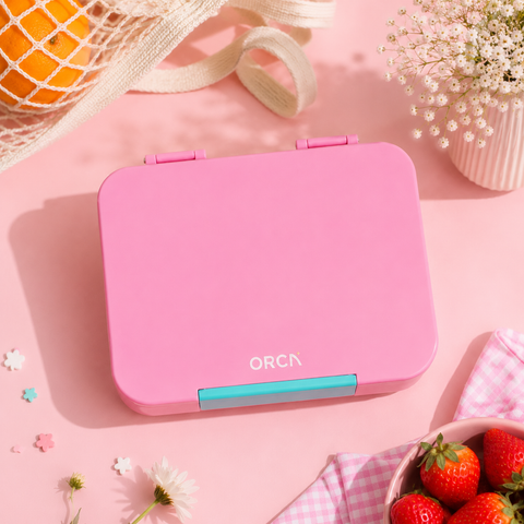ORCA Maxi Box
