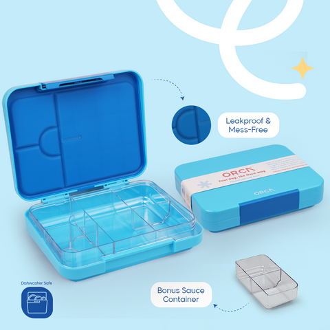ORCA Maxi Box | Tritan