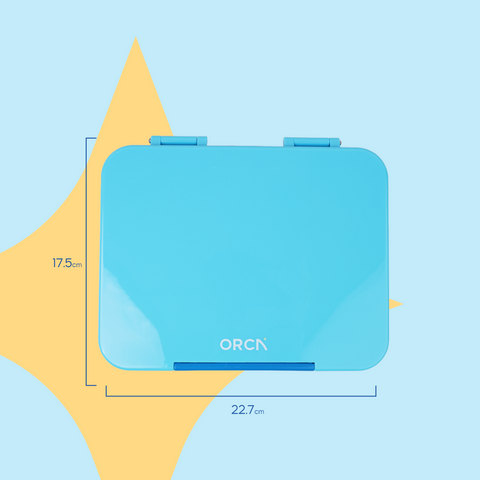 ORCA Maxi Box | Tritan