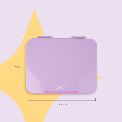 ORCA Maxi Box | Tritan