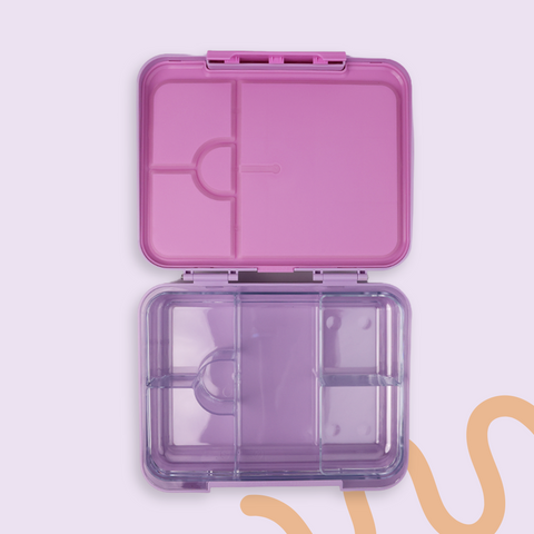 ORCA Maxi Box | Tritan