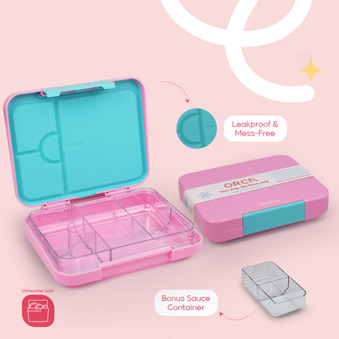 ORCA Maxi Box | Tritan