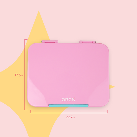 ORCA Maxi Box | Tritan