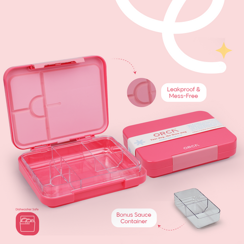 ORCA Maxi Box | Tritan