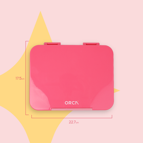 ORCA Maxi Box | Tritan