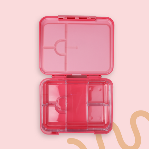 ORCA Maxi Box | Tritan