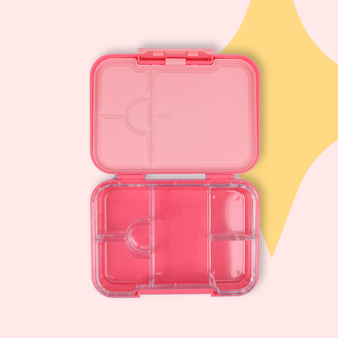 ORCA Mini Box | Tritan